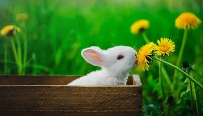 mk体育官网入口-德国自由泳中距离表现亮眼，德国1500米自由泳